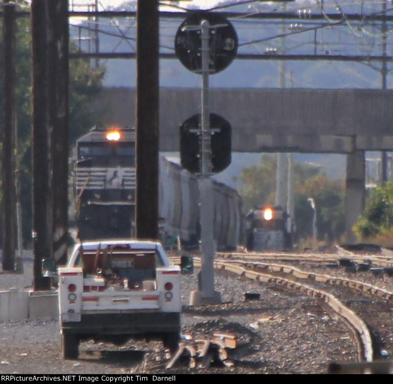 NS H19